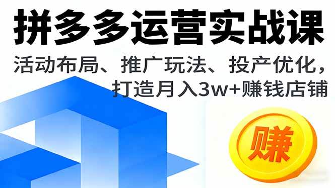 （16135期）拼多多运营实战课，活动布局、推广玩法、投产优化，打造月入3w+赚钱店铺-千城资源网