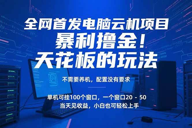 （15323期）电脑云机项目 暴力撸金玩法，不需要养机 配置没有要求 单机100个窗口一…-千城资源网