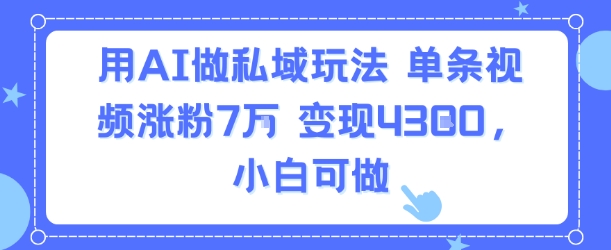 用AI做私域玩法，单条视频涨粉7W变现4.3k，小白可做-千城资源网
