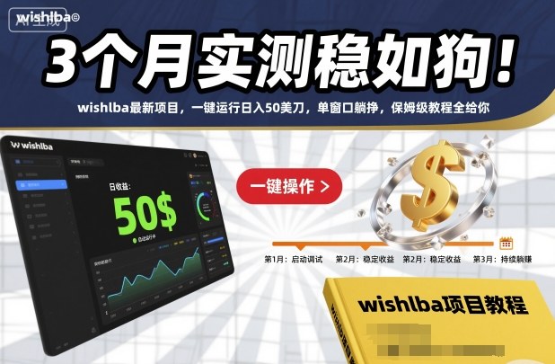 3个月实测稳如狗！wishlba最新项目，一键运行日入50美刀，单窗口躺挣，保姆级教程全给你【揭秘】-千城资源网