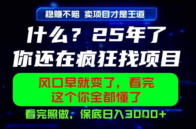 26年，请不要疯狂的找项目做了！卖项目才是真的稳賺不赔，看完照做，保底日入1k+【揭秘】-千城资源网