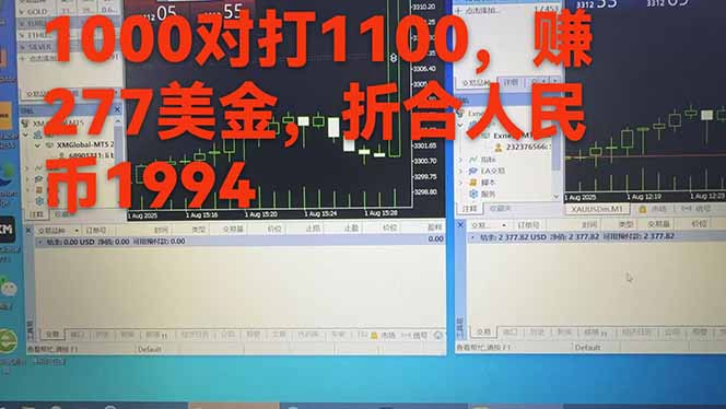 稳定8年的美刀搬砖项目，单人每日收益800—3000.团队4人月入10W+.可线下-千城资源网