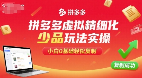拼多多虚拟精细化少品玩法实操，小白0基础轻松复制-千城资源网