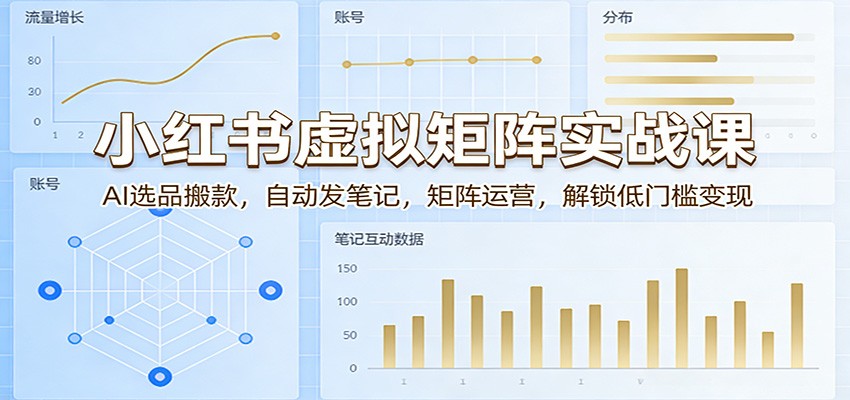 小红书虚拟矩阵实战课：AI选品搬款，自动发笔记，矩阵运营，解锁低门槛变现-千城资源网