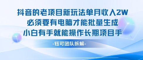 老项目新玩法单月收入2W小白有手就能操作长期项目-千城资源网
