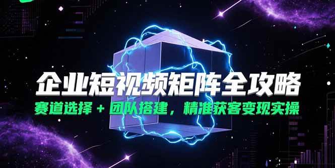 （15242期）企业短视频矩阵全攻略，赛道选择+团队搭建，精准获客变现实操-千城资源网
