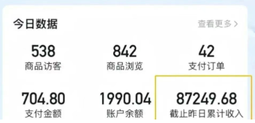 2026新手也能操作的带货玩法，用这个方法零门槛，轻松月入10000+-千城资源网