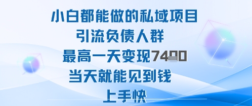 2025年小白都能做的私域项目引流负债人群最高一天变现1k+高变现难度低当天就能见到钱上手快-千城资源网