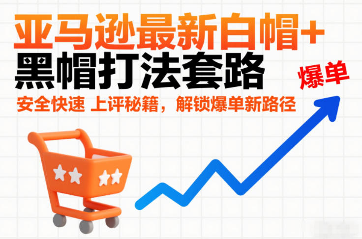 亚马逊最新白帽+黑帽打法套路，安全快速上评秘籍，解锁爆单新路径-千城资源网