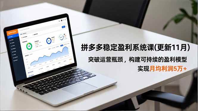 （16641期）拼多多稳定盈利系统课(更新11月)，突破运营瓶颈，构建可持续的盈利模型，实现月均利润5万+-千城资源网