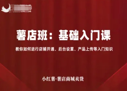 小红薯薯店商城卖货，基础入门课，教你如何进行店铺开通、后台设置、产品上传等入门知识-千城资源网