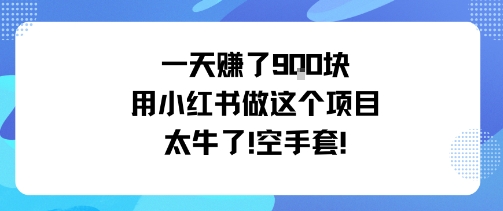 一天挣了9张用小红书做这个项目太牛了，空手套-千城资源网