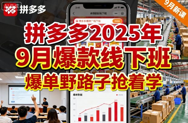拼多多2025年9月爆款线下班，爆单野路子抢着学-千城资源网