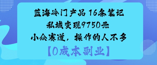蓝海冷门产品：16条笔记私域变现9750米小众赛道，操作的人不多-千城资源网