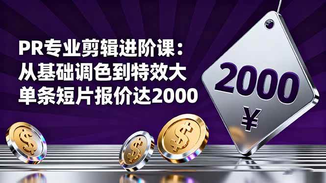 （16381期）PR专业剪辑进阶课：从基础调色到特效大片的进阶技能，单条短片报价达2000-千城资源网