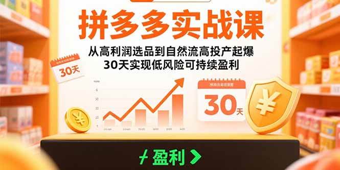（15586期）拼多多实战课：从高利润选品到自然流高投产起爆 30天实现低风险可持续盈利-千城资源网