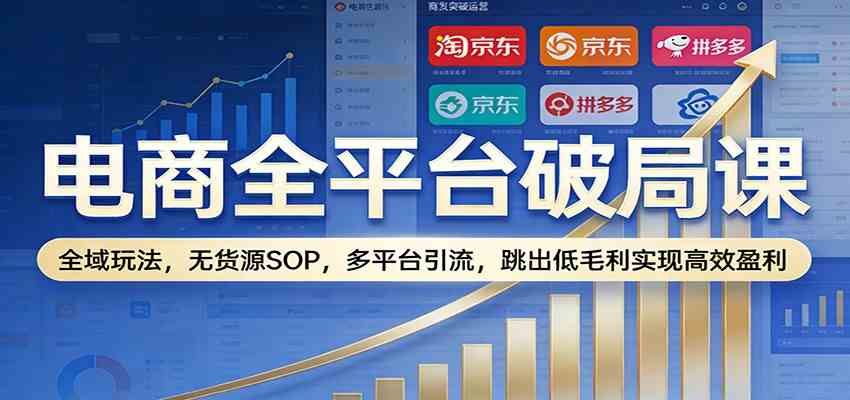 电商全平台破局课：全域玩法，无货源SOP，多平台引流，跳出低毛利实现高效盈利-千城资源网