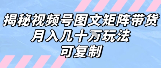解密视频号图文矩阵带货，月入几个W的打法，可复制-千城资源网