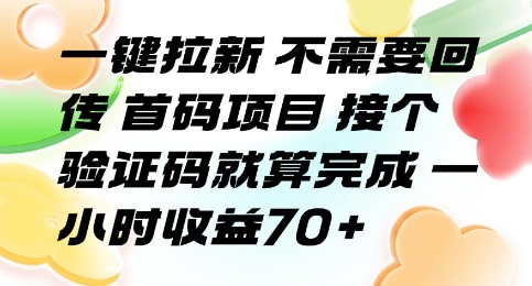 一键拉新 不需要回传 首码项目 接个验证码就算完成 一小时收益70+【揭秘】-千城资源网