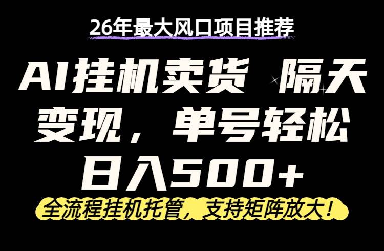 （17933期）26年最新AI挂机卖货，隔天出收益，单账号轻松日入500+-千城资源网