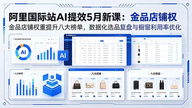 （18556期）阿里国际站AI提效5月新课：金品店铺权重提升八大榜单，数据化选品复盘与橱窗利用率优化-千城资源网