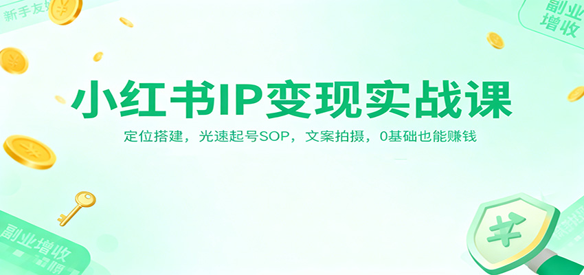 小红书IP变现实战课：定位搭建，光速起号SOP，文案拍摄，0基础也能赚钱-千城资源网