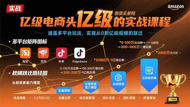 （15803期）亿级电商头部卖家的实战课程：涵盖多平台玩法，实现从0到亿级规模的跃迁-千城资源网