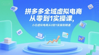 拼多多全域虚拟电商从零到1实操课，小白虚拟电商从0到1实操到精通-千城资源网