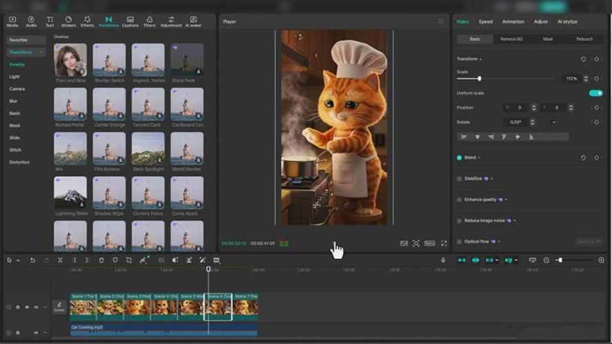 （17091期）AI橘猫爆款视频课：创意脚本，AI生成，平台适配，从零开始打造千万播放萌宠账号-千城资源网