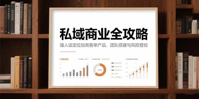 （15294期）私域商业全攻略，强人设定位加高客单产品，团队搭建与风险管控-千城资源网