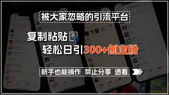 （15428期）被大家忽略的引流平台，复制粘贴轻松日引300+创业粉，新手也能操作，禁…-千城资源网