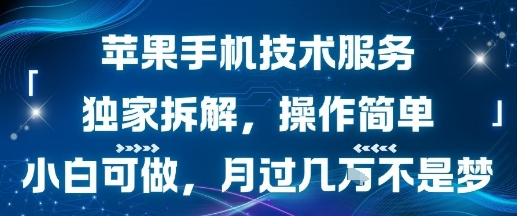 苹果手机技术服务，独家拆解，操作简单，小白可做，月过1W不是梦-千城资源网