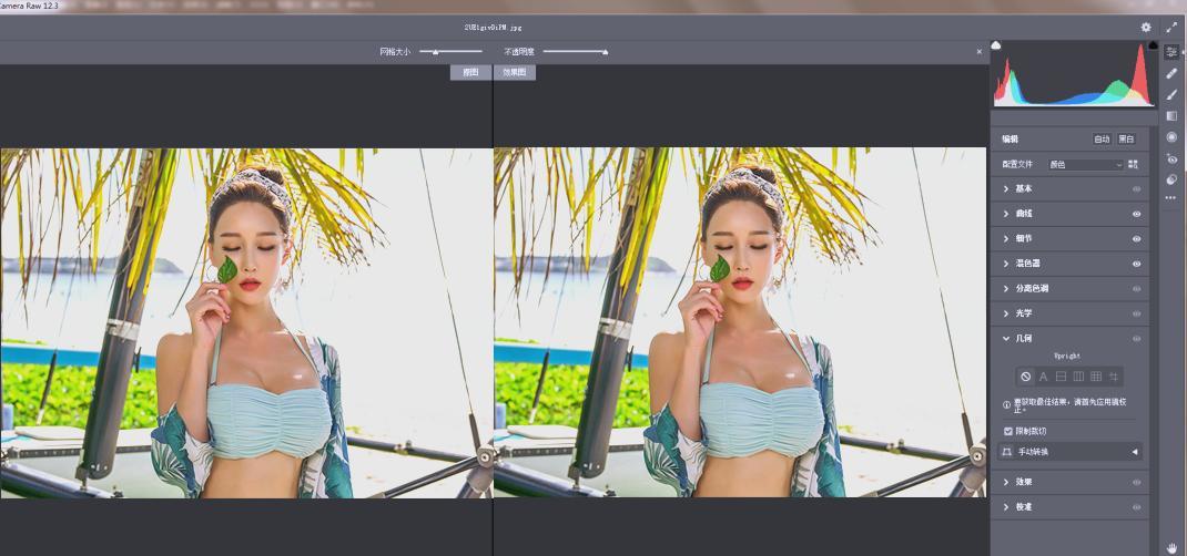RAW处理Adobe Camera Raw v18.2.0中文版-千城资源网