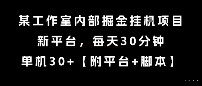 某工作室内部掘金挂G项目，新平台，每天30分钟，单机30+【揭秘】-千城资源网