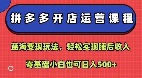 拼多多开店运营课程：蓝海变现玩法，轻松实现睡后收入，零基础小白也可日入5张-千城资源网