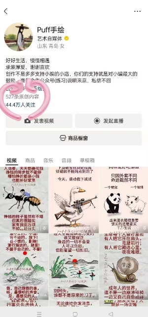 Puff手绘视频号分成项目，三天过分成计划，简单易上手，适合新手-千城资源网