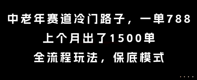 中老年赛道冷门路子，一单788，上个月出了1500单，全流程玩法，保底模式【揭秘】-千城资源网