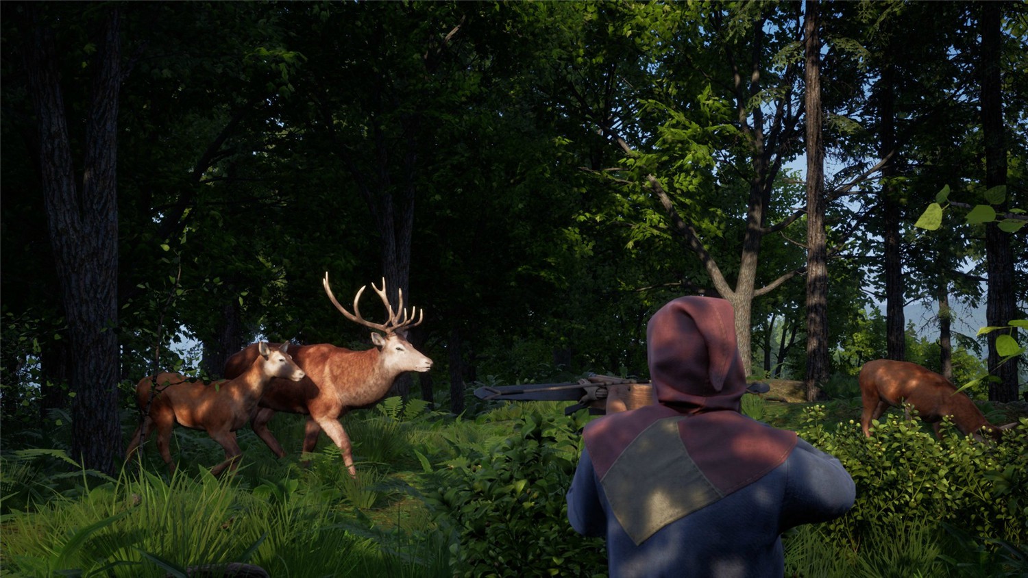 《中世纪王朝》v2.4.0.5中文版-趣奇资源网-第5张图片