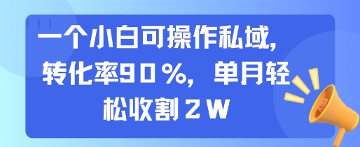一个小白可操作私域，转化率90%，单月轻松收割2W-千城资源网