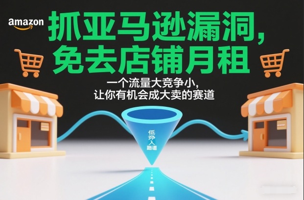 抓亚马逊漏洞，免去店铺月租，一个流量大竞争小，让你有机会成大卖的赛道-千城资源网