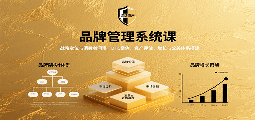 品牌管理系统课：战略定位与消费者洞察，DTC案例、资产评估，增长与公关体系搭建-千城资源网