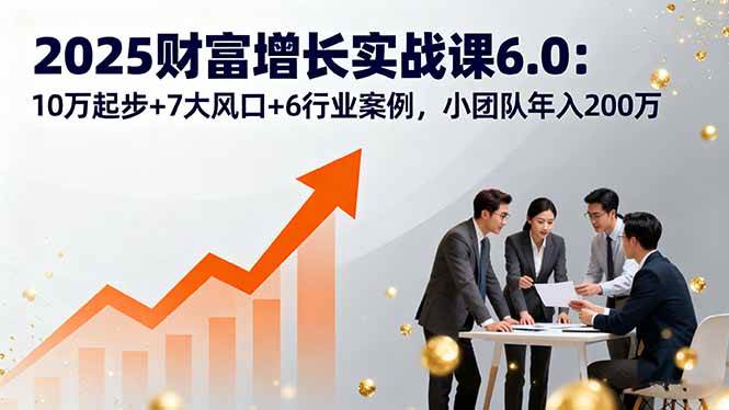 （16004期）2025财富增长实战课6.0：10万起步+7大风口+6行业案例，小团队年入200万-千城资源网