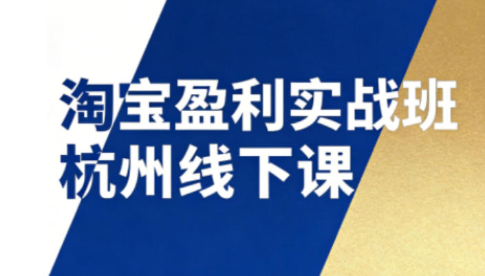 淘宝盈利实战班杭州线下课12月26-28日（音频+字幕），帮你掌握SOP流程+12门核心技术-千城资源网