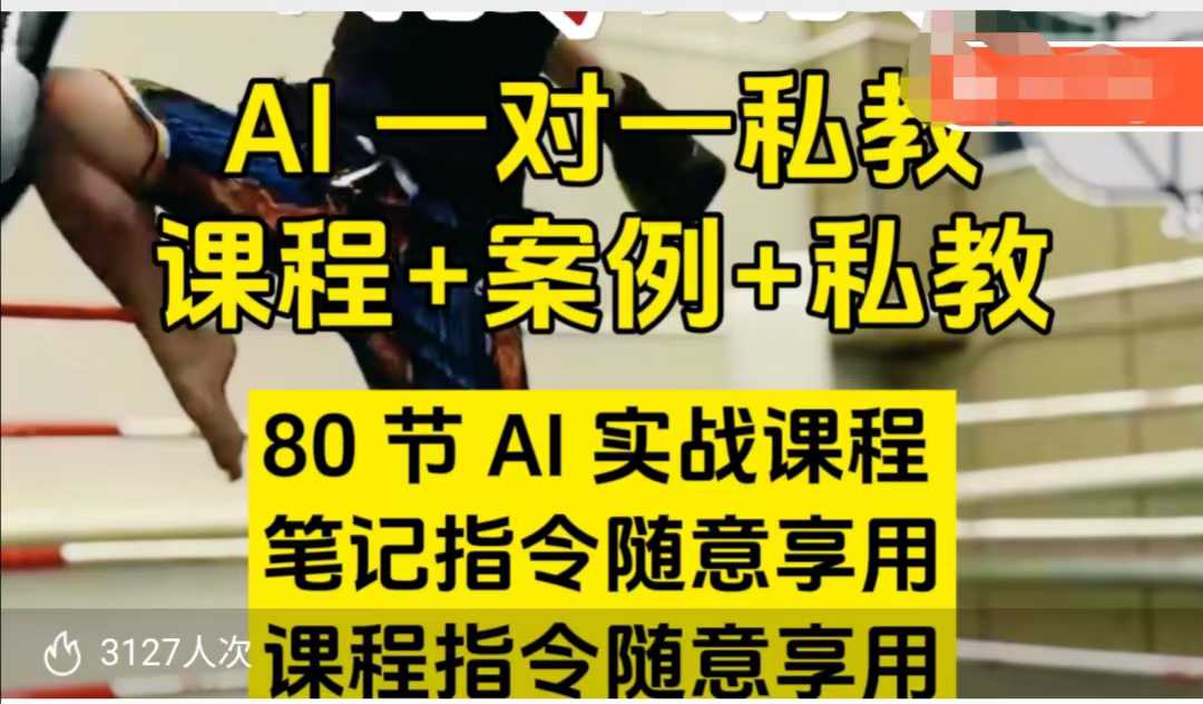 AI指令实战课，课程+案例，80节AI实战课程，笔记指令随意享用，课程指令随意享用（更新7月）-千城资源网