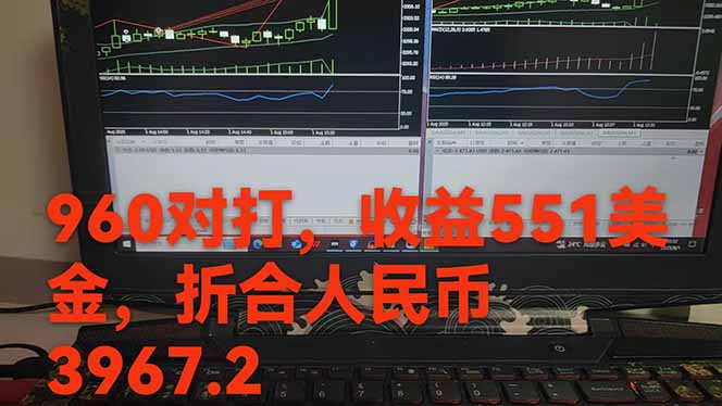 图片[1]-稳定8年的美刀搬砖项目，单人每日收益800—3000.团队4人月入10W+.可线下-网创之家