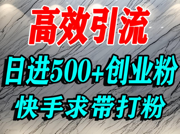 怎么打创业粉？快手求带视角精准引流创业粉，宝妈、学生群体日进500+精准流量-千城资源网