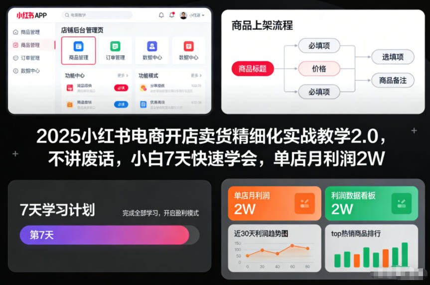 2025小红书电商开店卖货精细化实战教学2.0，不讲废话，小白7天快速学会，单店月利润2W-千城资源网