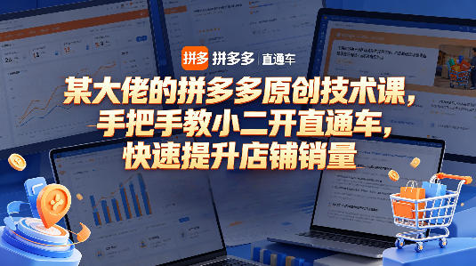 某大佬的拼多多原创技术课，手把手教小二开直通车，快速提升店铺销量-千城资源网