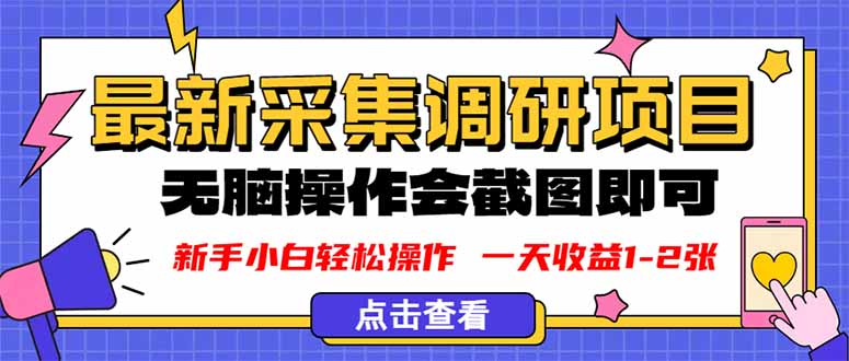 新版采集调研项目，截图上传即可，无脑操作，日收益1-2张-千城资源网