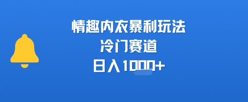 情趣内衣暴利玩法，冷门赛道，日入1k+-千城资源网